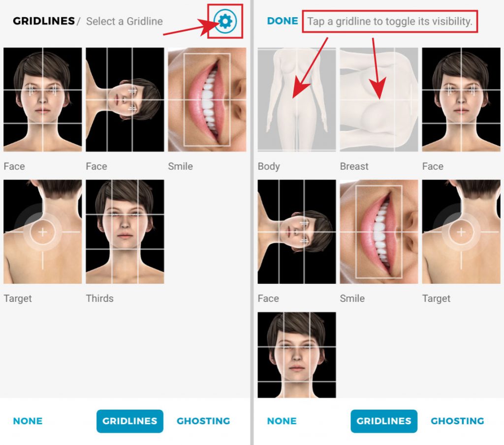 Snap gridline guides